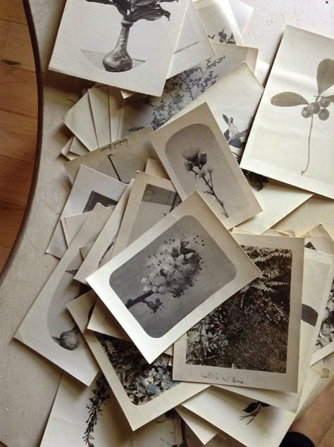 Photograph Aesthetic Vintage, Vintage Photo Aesthetic, Mysterious Photos, Vintage Photo Ideas, Garden Sketch, Vintage Moodboard, Photo Crafts, Photography Journal, Vintage Aesthetics