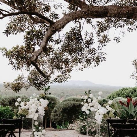 Fig Tree Restaurant & Rooms on Instagram: "AN ELEGANT AFFAIR //  A Fig Tree wedding day is something truly breathtaking to behold.  Natalie & Andrews Autumn nuptials 🕊️ The epitome of elegance & sophistication.  C O L L A B O R A T O R S //  Venue @figtreerestaurant Planning & Coordination @byronbayweddings Style & Hire @theweddingshed Florist @wildernessflowers_ Stationery @Signedbyshaun Celebrant @marrymedean Photographer @ivyroadphotography Videographer @samfregonese Musician & DJ @chrishutchinsonweddings Cake @milliesofnewrybar Transport @byronbaydoubledeckers | @cookiestours   In celebration of the Wedding Event of the YEAR (with the @Byronbayweddingfair now 2 weeks away), the Fig Tree will be announcing a never before seen limited wedding package - The Estate Package - in the days t Fig Tree Restaurant, Figtree Restaurant Wedding, Fig Tree Restaurant Wedding, The Fig Tree, Tree Restaurant, Byron Bay Weddings, Restaurant Wedding, Wedding Styling, Watch This Space