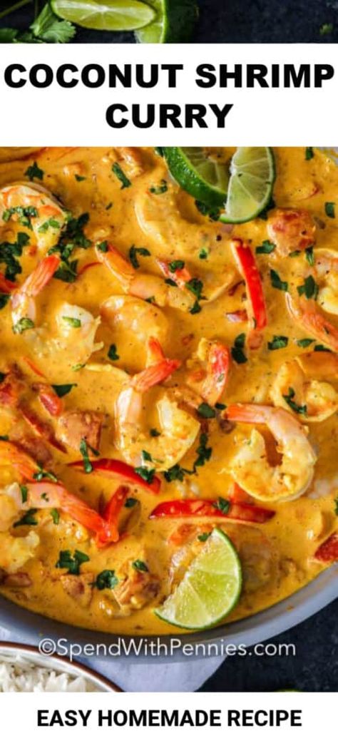 Shrimp Curry Recipe, Coconut Shrimp Curry, Thai Seafood, Seafood Curry, Coconut Curry Shrimp, Coconut Curry Recipes, Shrimp Curry, Red Thai, Prawn Curry