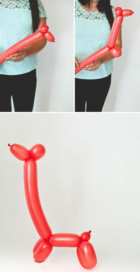 How to make a balloon animals!  For when Jacqelyn, Victoria, and Breanna come over! Easy Balloon Animals, Clown Balloons, How To Make Balloon, Twisting Balloons, Kindness Projects, Clown Party, Balloon Creations, Balloon Modelling, Balloon Crafts