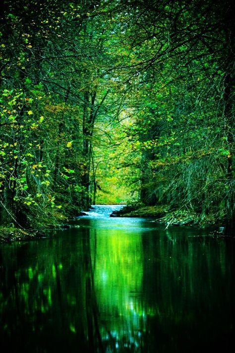 Besoin de repos VERT. Photography Effects, Beside Still Waters, Painting Reference, Alam Yang Indah, Lombok, Green Trees, Still Water, Lush Green, Land Scape