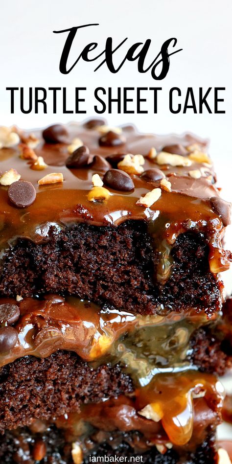 The perfect combination of chocolate, pecans, and caramel! You are going to LOVE this amazing Texas Turtle Sheet Cake! #iambaker #sheetcake Sheet Cake, Texas Sheet Cake, i am baker #recipes #baking #chocolatecake #sheetcake Desserts With No Dairy, Cakes For A Cake Walk, Texas Turtle Sheet Cake Recipes, Christmas Texas Sheet Cake, I Am A Baker Recipes, Turtle Caramel Cake Recipes, Cake For Cake Walk, Texas Birthday Cake, Turtle Chocolate Cake