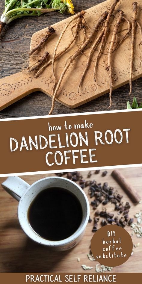 Roasting Dandelion Root, How To Roast Dandelion Root, Dandelion Coffee Recipe, Dandelion Uses And Benefits, Grow Dandelions, Dandelion Root Coffee Recipe, Dandelion Root Tea Recipe, Dandelion Recipes Tea, Diy Dandelion Tea