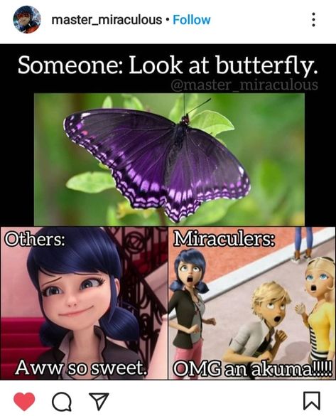 Meme miraculers Miraculous Ladybug All Miraculouses, Miraculous Butterfly, Miraculous Cursed, Miraculous Meme, Funny Miraculous, Miraculous Funny, Catnoir And Ladybug, Miraculous Memes, Miraculous Ladybug Oc