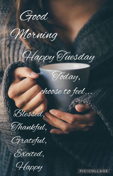 Good Morning Tuesday Winter, Good Tuesday Morning Quotes, Good Morning Tuesday Gif, Good Morning Happy Thursday Quotes, Good Morning Happy Tuesday Quotes, Cold Tuesday Morning, Tuesday Morning Coffee, Tuesday Morning Blessings, Tuesday Blessings Mornings