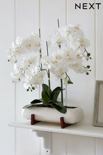 Home Accessories | Decorative Home Accessories | Next UK Cow Ornaments, Home Hall Design, House Deco, White Pot, Artificial Orchids, Orchid Pot, Artificial Flowers And Plants, Bathroom Plants, Beautiful Orchids