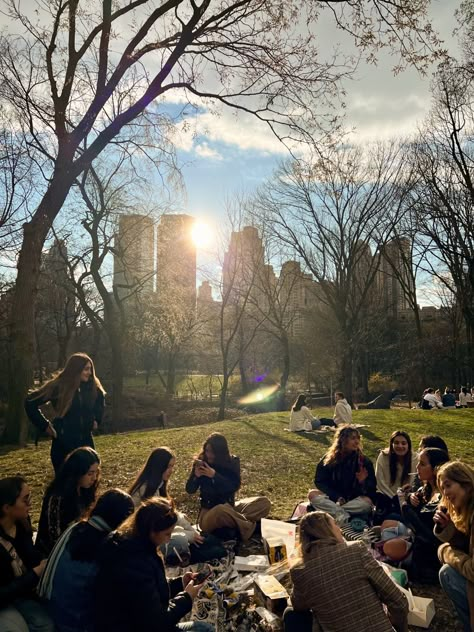 Central park nyc Picnic In New York, Park Picnic Aesthetic, Golden Year Birthday, Central Park Picnic, Flower Park, Angels In America, Picnic Vibes, Taco Mix, Life In Nyc