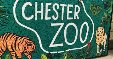 Zoo Entrance, Zoo Signage, Hedgehog House, Chester Zoo, Bug Hotel, Kids News, Animal Masks, How Big Is Baby, The Zoo