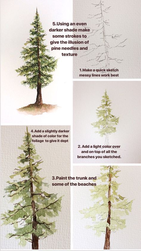 Watercolor Pine Tree, Pine Tree Painting, Tutorials Art, Art Tutorials Watercolor, Watercolor Tree, Watercolor Painting Techniques, Nature Artwork, Watercolor Art Lessons, Watercolor Paintings Tutorials