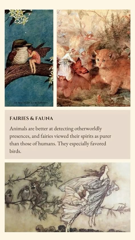 Fairy Lore #fairy #fae #anglosaxonmythology #mythology #folklore #lore #myths #fairys #magic #witches #wizards #english #scottish #welsh #irish #european #history #faemyths #nature #light #earth #earthmagic #mythicalcreatures Irish Folklore Aesthetic, Ravens Reference, Fae Lore Tumblr, Faerie Folklore, Irish Mythical Creatures, Gaelic Phrases, Welsh Folklore, Fairy Lore, Magical Creatures Mythology