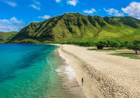 6 reasons Oahu's leeward side is Hawaii's next best thing | Hawaii Magazine Makua Beach, Hawaii Magazine, Oahu Beaches, Kailua Beach, Turtle Bay Resort, Lanikai Beach, John Brown, Turtle Bay, Find Cheap Flights