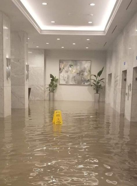 Wet Floor Sign, Water Hotel, Aesthetic Pool, Funny Sites, Wet Floor, Memes Of The Day, Jokes In Hindi, Silly Jokes, Puppies Funny