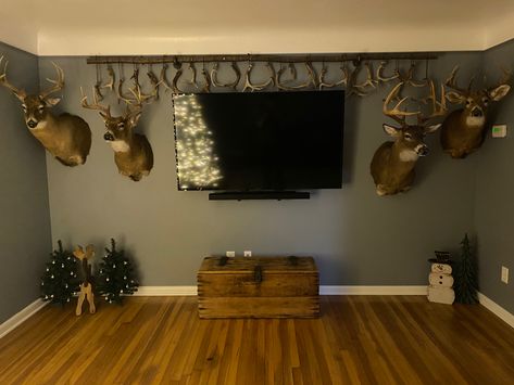 Deer Mount In Living Room, Hanging Deer Mounts On Wall, Deer Mount Wall Arrangement, Deer Shoulder Mount, Deer Decorations, Deer Processing, Deer Heads Mount, European Mount, Deer Mounts