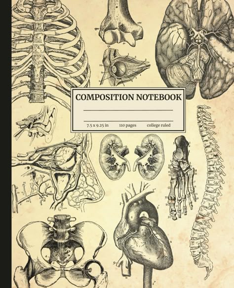 Composition Notebook: Vintage Human Anatomy | Unique Medical Illustrations | Human Body | Medical Themed 110 College Ruled Pages | Medical School and Pre-Med | Great Gift for Students | Note Taking: Publishing, Inky Pup: Amazon.com: Books Anatomy Cover Page Design, Vintage Composition Notebook, Anatomy And Physiology Cover Page, Anatomy Notebook Cover, Anatomy Book Cover, Anatomy Notebook, Aesthetic Anatomy, Notebook Cover Digital, Medical Notebook