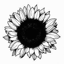 Duke Tattoo, Flower Cover Up Tattoo, Tattoos Illustration, Stippling Tattoo, Black Flowers Tattoo, Tatuaje Cover Up, Tattoo Coverup, Sunflower Tattoo Sleeve, Sunflower Tattoo Shoulder