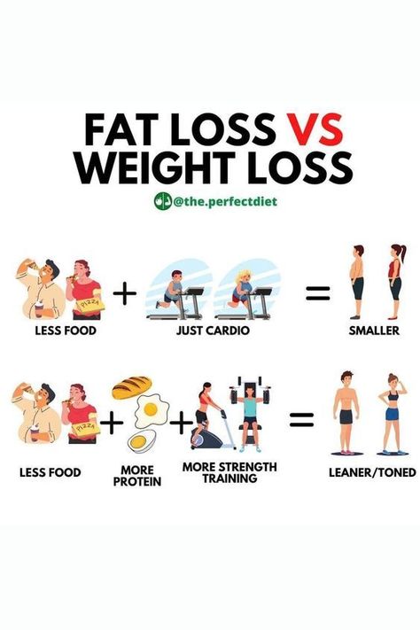 Fat Loss VS weight Loss #weightloss #weightlossjourney #lossweight #weightlossbeforeandafter #lossingweight #weightlossplanweightloss Fat Vs Muscle, Toning Training, Reduce Body Fat, Weight Workout Plan, Lose Body Fat, Stubborn Belly Fat, Health Facts, Belly Fat Loss, Weights Workout