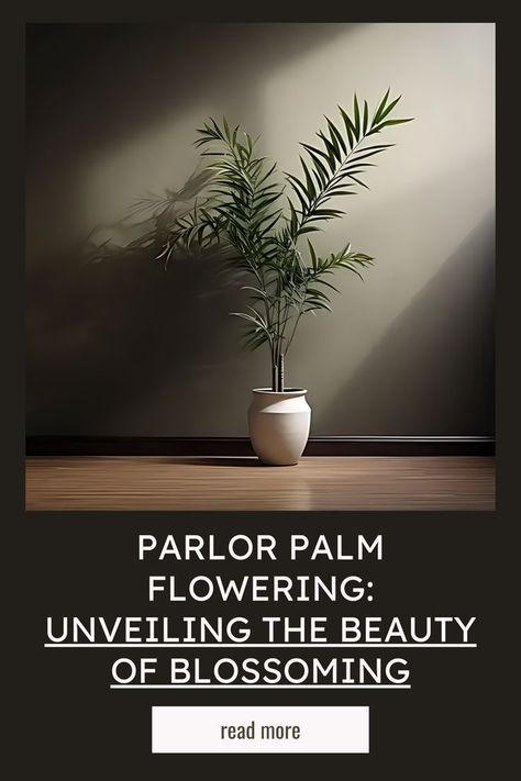 Bring a touch of greenery indoors with the easy-to-grow Parlor Palm! 🌿 Perfect for small spaces, this compact beauty adds life to any room. 🌱 #IndoorPlants #ParlorPalm #GreenLiving #HouseplantLove #EasyCarePlants Parlor Palm, Easy Care Plants, Indoor Gardening, Living Room Inspo, Green Living, Room Inspo, Indoor Plants, House Plants, The Beauty