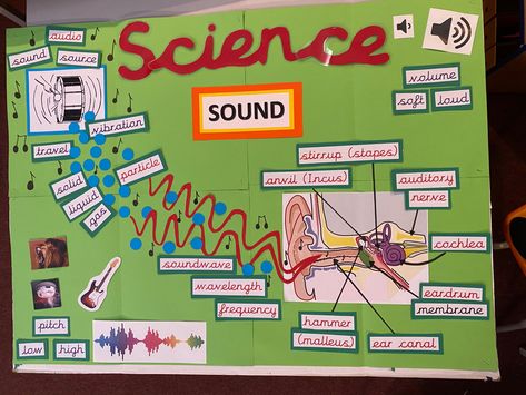 Chart On Science Topics, Sound Display Ks2 Science, Sound Bulletin Board, Science Display Board Ideas, Science Class Decorations, Classroom Displays Ks2, Primary Classroom Displays, Year 4 Classroom, Sound Physics