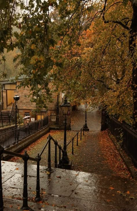 Edinburgh Uk, Autumn Scenery, Edinburgh Scotland, Best Seasons, Fall Pictures, We Fall In Love, Autumn Cozy, Autumn Aesthetic, I Want To Be