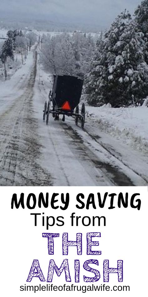 Finance Planning, Amish Lifestyle, Amish Living, Budgeting Ideas, Living Frugal, Amish House, Amish Culture, Live Frugally, Amish Life