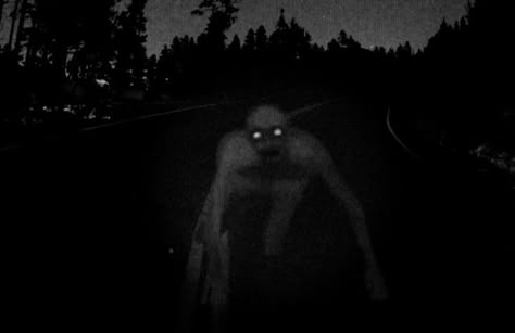 Dover Demon, Scary Photos, Creepy Images, Creepy Facts, Creepy Horror, Creepy Pictures, Dark Pictures, Thought Catalog, Dark Art Drawings