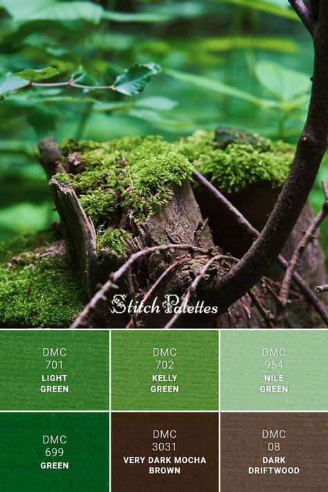 Floss color inspiration for cross stitch and embroidery projects. Thread colors used: DMC 954: Nile Green / DMC 702: Kelly Green / DMC 701: Light Green / DMC 699: Green / DMC 3031: Very Dark Mocha Brown / DMC 08: Dark Driftwood. Palette ID: SPA0201 Kelly Green Palette, Dmc Green Palette, Kelly Green Color Palette, Green And Brown Color Palette, Stitch Palette, Stitch Palettes, Green Color Combinations, Brown Color Palette, Color Schemes Colour Palettes