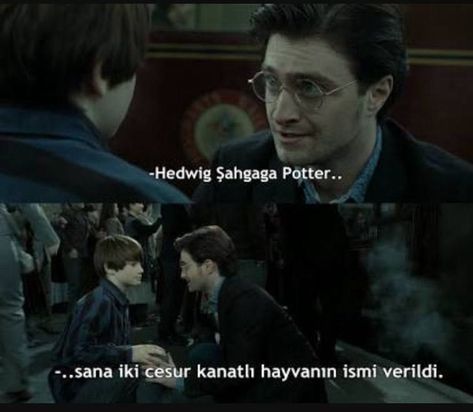 Albus Severus'tan iyidir aöalxndlansldndldm. Bence başka bir şey koymalıydı Remus falan... (Lily Luna'da Luna isminin aydan gelme olduğunu biliyorum) Harry Potter Fanları, Harry Potter Book Covers, Albus Severus, Harry Potter 2, Percy Jackson Memes, Harry Potter Anime, Harry Potter Cast, Harry Potter Funny, Harry Potter Fan