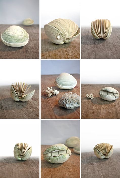 Book Sculpture, Beach Crafts, Miniature Books, Seashell Crafts, Clam Shell, Handmade Books, Shell Art, Diy Book, Shell Crafts