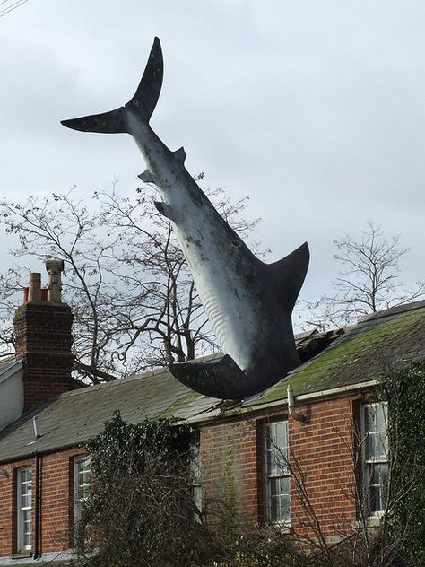 only in England. Shark through a roof. #streetart #publicart #shark http://www.pinterest.com/TheHitman14/art-streetpublic-%2B/ Unique Roof, Photo Writing Prompts, Visual Writing Prompts, Crazy Houses, Rock & Roll, Writing Pictures, Smile Art, Photo Prompts, Picture Writing Prompts