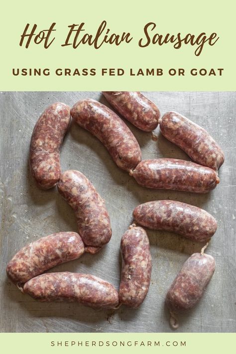 A green banner at the top says hot Italian sausage using grass fed lamb or goat. The image below shows sausages in casing on a metal tray ready to be cooked. The bottom banner says the website shepherdsongfarm.com. Goat Sausage Recipe, Lamb Sausage Recipes, Lamb Breakfast, Make Italian Sausage, Kosher Rules, Italian Sausage Links, Brat Sausage, Boudin Sausage, Lamb Sausage