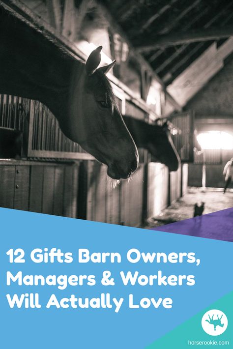 A thoughtful gift can be a great way to show your appreciation for the people who support you and your horse daily. In this article, we walk you through the top 12 gifts for barn staff!   #horsegifts #equine gifts #equestrian Gifts For Horse Trainer, Gifts For Equestrians, Horse Trainer Gifts, Horse Lifestyle, Best Amazon Gifts, Stable Style, Male Horse, Horse Lessons, Horse Rescue