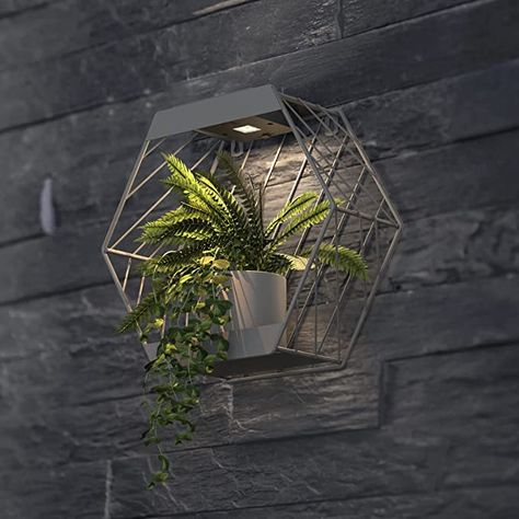 Wall Planters Outdoor, Hexagon Wall, Wall Nails, Modern Backyard Landscaping, Wall Painting Art, Bedroom Wall Paint, Modern Backyard, Hexagon Design, Solar Lanterns