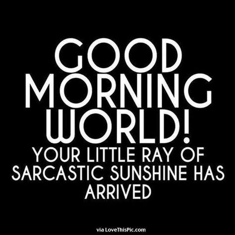 LoveThisPic offers Good Morning Your Sarcastic Ray Of Sunshine Has Arisen pictures, photos & images, to be used on Facebook, Tumblr, Pinterest, Twitter and other websites. Funniest Quotes Ever, Sarcasm Quotes, Good Morning World, Funny Quotes Sarcasm, Sarcastic Quotes Funny, Sassy Quotes, Sarcasm Humor, Night Owl, E Card