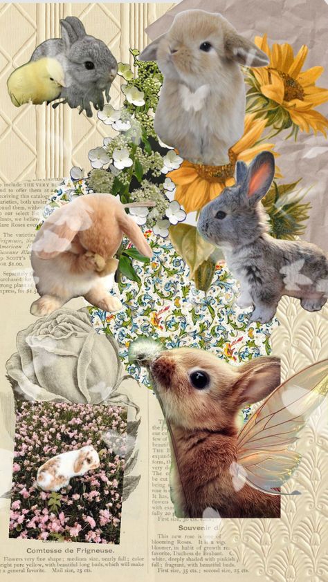 Aesthetic Bunny Wallpaper, Bunny Collage, Cute Collage, Coquette Wallpaper, Rabbit Wallpaper, Bunny Wallpaper, Cute Simple Wallpapers, Phone Wallpaper Patterns, Simple Wallpapers