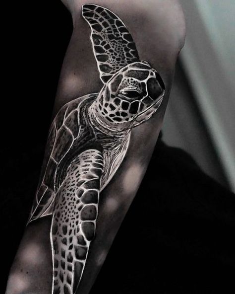 Black And White Sea Turtle Tattoo, Florida Tattoos, Sea Turtle Tattoo, Realistic Tattoo Sleeve, Realistic Tattoo, Eagle Tattoo, Turtle Tattoo, Turtle Art, White Sea