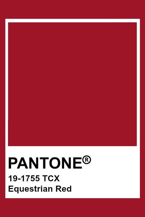 Pantone Red Color Palettes, Red Colour Pantone, Red Pantone Colour Palettes, Red Colour Board, Red Color Swatch, Pantone Colors Red, Red Pantone Color, Red Swatch, Red Pantone