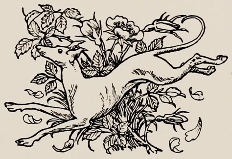 The “Original poems” and others - illustrated by F. D. Bedford - 1905 - via Internet Archive Medieval Art Aesthetic, Medieval Illustration Tattoo, Vintage Dog Illustration, Woodcut Illustration Medieval, Medieval Woodcut, Greyhound Tattoo, Medieval Dog Illustration, Cat Engraving Illustration, Medieval Wolf Illustration