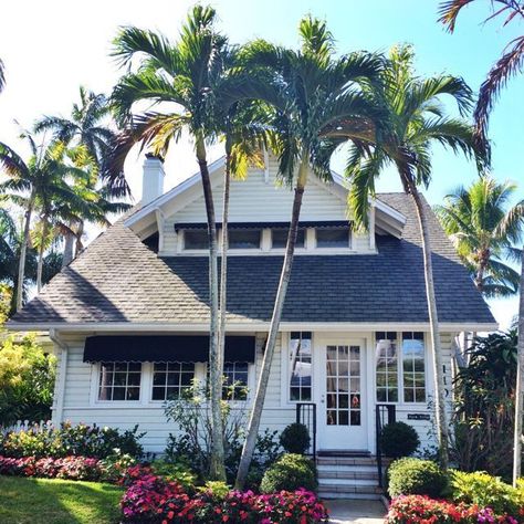 Travel to Old Naples, Florida | The Front Door Project Old Florida Decor, Florida Plants Landscaping, New England Living, Florida Cottage, Florida Decor, Storybook Homes, Florida Art, Florida Style, Florida Resorts