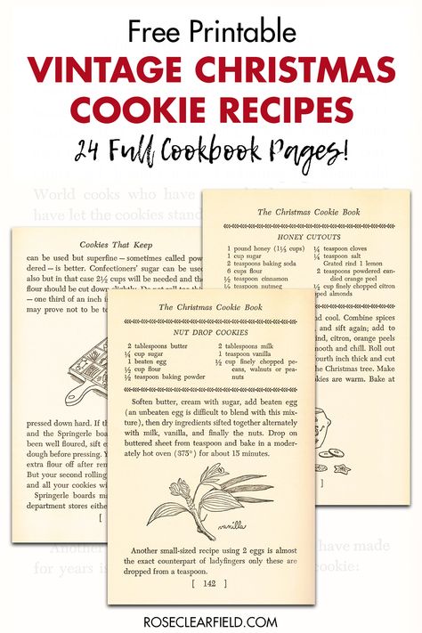 A collection of FREE printable vintage Christmas cookie recipe pages! 24 full cookbook pages to print featuring a variety of cookie recipes, including hand drawn illustrations, baking tips, and personal narrative. #freeprintables #Christmasprintables #vintagecookbook Free Printable Vintage Recipes, Vintage Recipe Cards Printable Free, Vintage Christmas Cookie Recipes, Organize Recipe, Corn Cookies Recipe, Vintage Christmas Printables, Vintage Christmas Cookies, Free Christmas Printables Vintage, Cookbook Pages