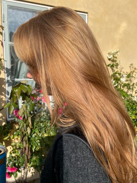 Strawberry Blonde With Glasses, Dusty Strawberry Blonde Hair, Light Ginger Hair Aesthetic, Light Orange Blonde Hair, Ashy Strawberry Blonde Hair, Strawberry Dark Blonde Hair, Dark Strawberry Blonde Hair Balayage, Golden Yellow Hair Color, Starberry Blonde Hair