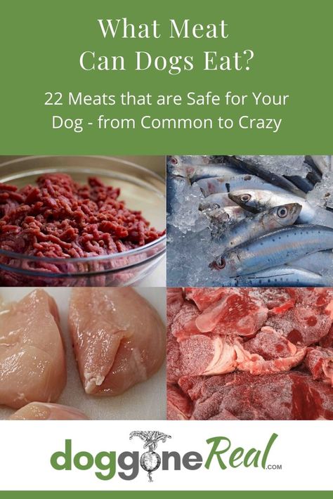 What Human Food Can Dogs Eat, Meat Treats For Dogs, Foods Safe For Dogs To Eat, Raw Meat For Dogs, Raw Meat Dog Food Recipes, Foods Safe For Dogs, Meats Dogs Can Eat, Fresh Food For Dogs, Cooking For Dogs