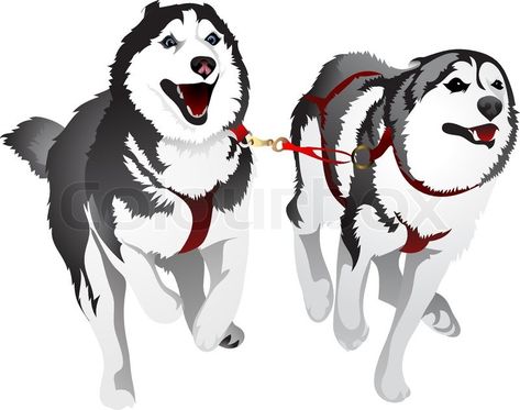 Husky Running, Cartoon Husky, Husky Sled, Husky Drawing, Animal Stencil Art, Huskies Sled, Dog Design Art, Dogs Husky, Sled Dogs