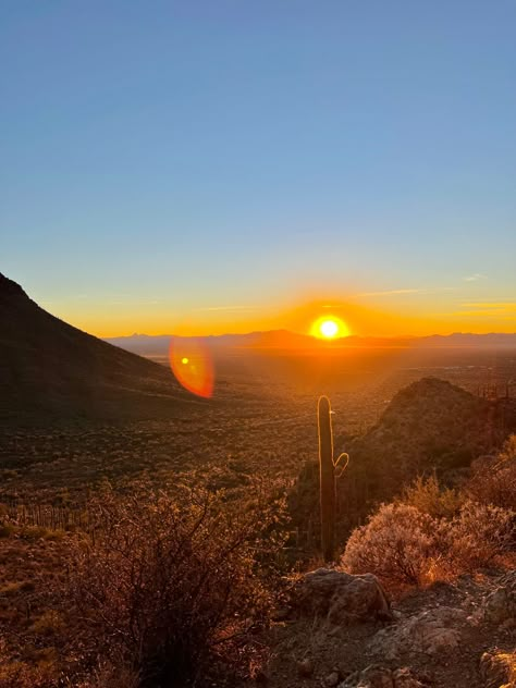 Sunset 
Autozon a 
Photography 
Cactus 
Nature 
Wallpaper Arizona Wallpaper, Arizona Dessert, Dessert Sunset, Arizona Painting, Hothouse Flower, Manifest 2024, Arizona Tucson, Arizona Aesthetic, Cactus Wallpaper