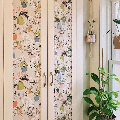 8 Renter-Friendly Temporary Wallpaper Ideas Temporary Wall Covering For Renters, Rental Friendly Wallpaper, Removable Wallpaper For Renters, Temporary Wall Covering, Renter Friendly Wallpaper, Rental Friendly, Temporary Wall, Temporary Wallpaper, Beautiful Nursery