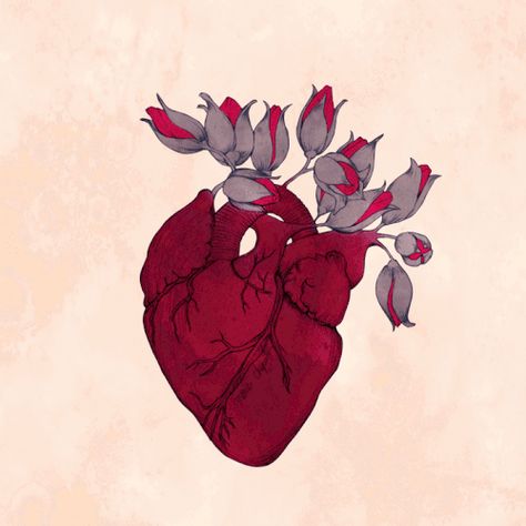 Heart Animation, Love Bites, Graphics Fairy, Art Heart, Anatomical Heart, Beating Heart, Beauty Illustration, Wow Art, Art Et Illustration