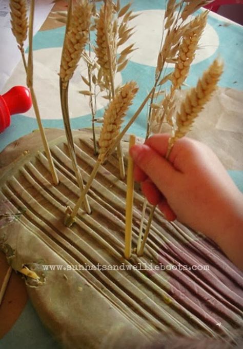 Use play dough and some crops to act out Stanley the Farmer! {via Sun Hats & Wellie Boots: Harvest Sensory Play: Crops & Play Dough} Farm Theme Preschool Activities, Preschool Farm Theme, Preschool Farm, Farm Theme Preschool, The Little Red Hen, Harvest Theme, Imagination Tree, Farm Unit, Farm Preschool