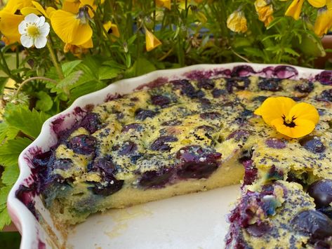 Lemon Blueberry Clafoutis, Lemon Blueberry Soufra, Blueberry Clafoutis, Clafoutis Recipes, Cherry Clafoutis, Baked Custard, Strawberry Almond, Custard Desserts, American Summer