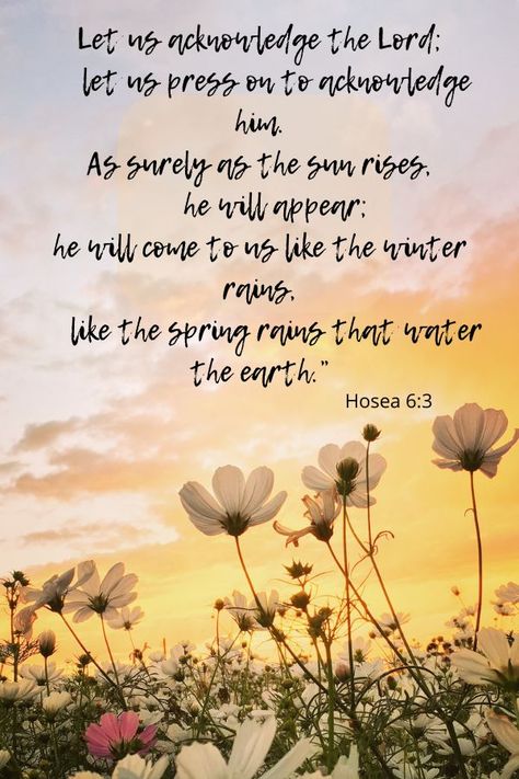 Hosea 6:3- May we desire to know Him more and be expectant of Him in our lives. Gods Favor, Bible Study Lessons, Spring Rain, Bible Verses Quotes Inspirational, Latter Day Saints, Verse Quotes, Bible Verses Quotes, Winter Rain, Bible Verse