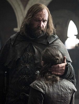 GoT S8.5 Sandor Clegane, Game Of Thrones Arya, Rory Mccann, Game Of Thrones Facts, Game Of Thrones Poster, Got Game Of Thrones, Game Of Thrones Quotes, The North Remembers, Fire And Blood