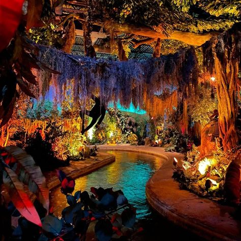 Rainforest Cafe on Instagram: “Weekend plans: a wild dinner followed by a wild ride at our Galveston location! . . . #rainforestcafe #rainforest #wildlife #wildrainforest…” Rainforest Cafe Aesthetic, Rainforest Decor, Rainforest Party, Forest Bar, Rainforest Room, Rainforest Wildlife, Spooky Island, Forest Cafe, Rainforest Theme